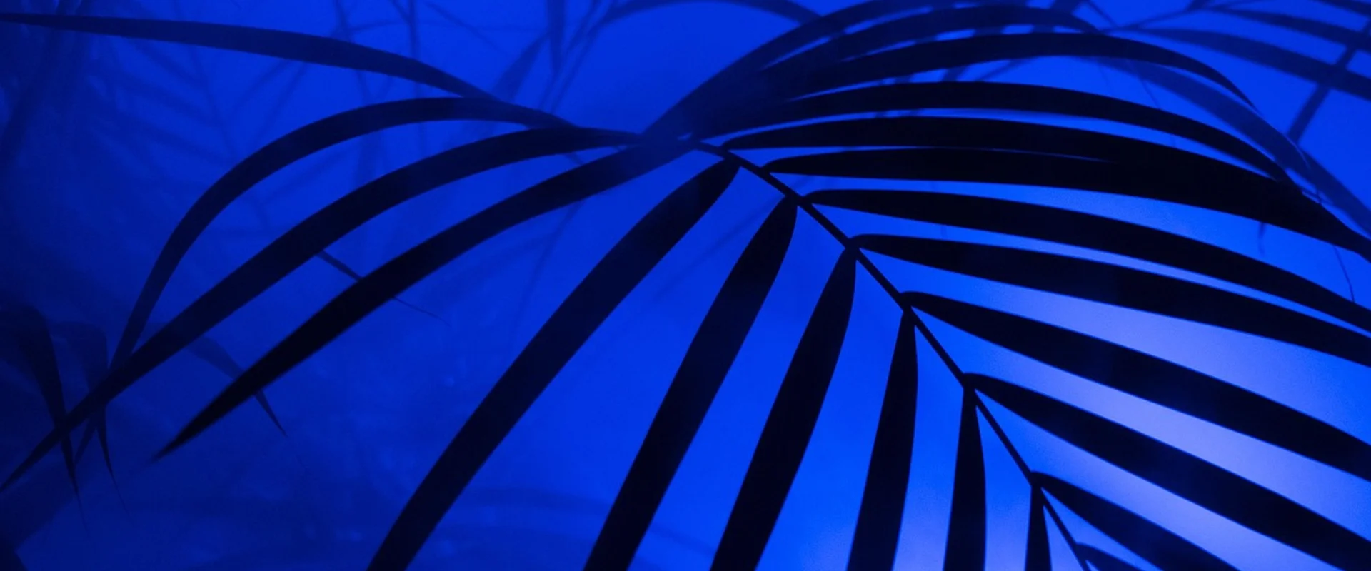 易游体育PG电子